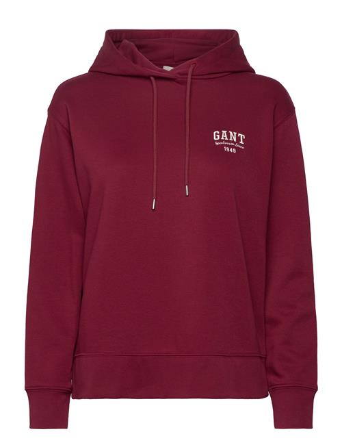 Se Small Graphic Hoodie GANT Red ved Booztlet