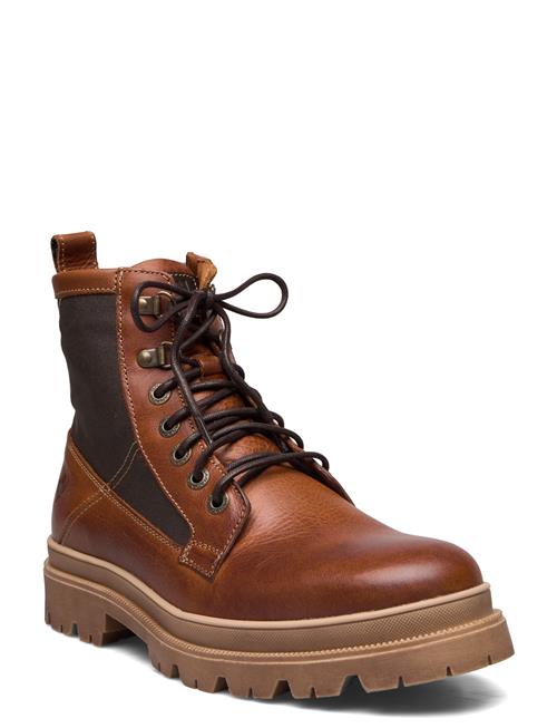 Mount Hektor Canada Snow Brown