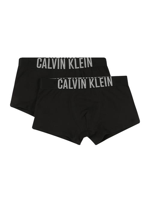 Calvin Klein Underwear Underbukser  sort / hvid