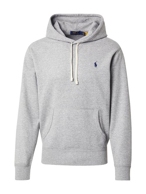 Polo Ralph Lauren Sweatshirt  grå