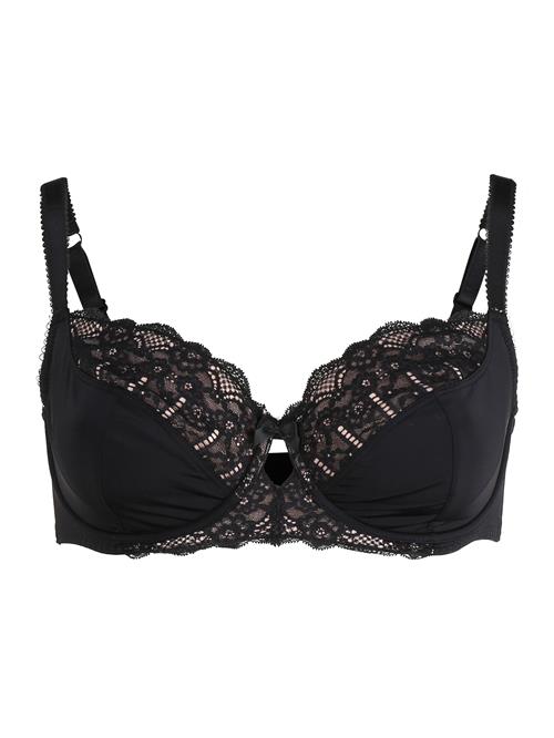 Dorina BH 'Celine'  sort