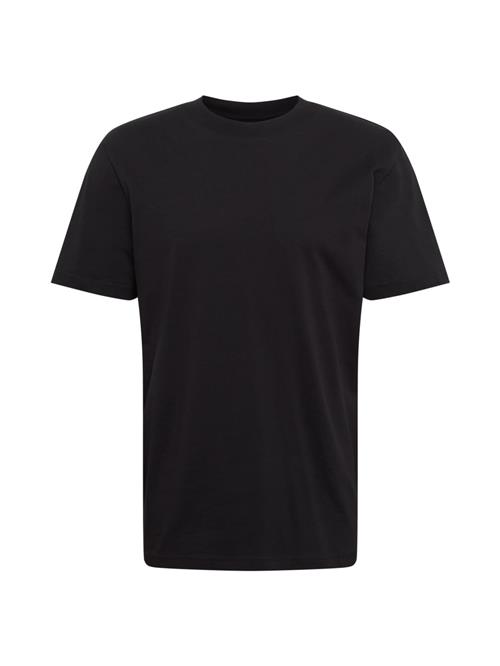 SELECTED Bluser & t-shirts 'Colman'  sort