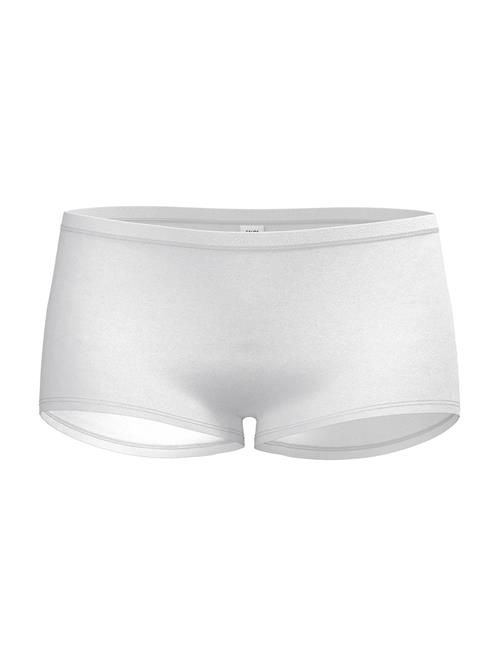 Se CALIDA Panty  hvid ved About You