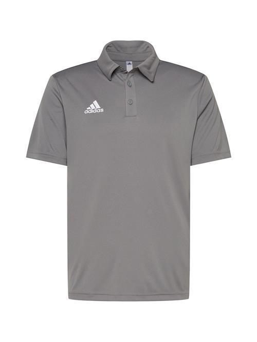 ADIDAS PERFORMANCE Funktionsskjorte 'Entrada 22'  mørkegrå / hvid