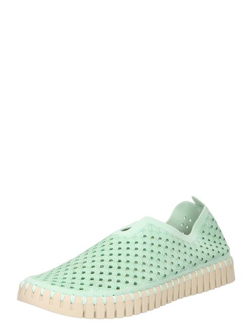 ILSE JACOBSEN Slip On 'Tulip3275'  grøn