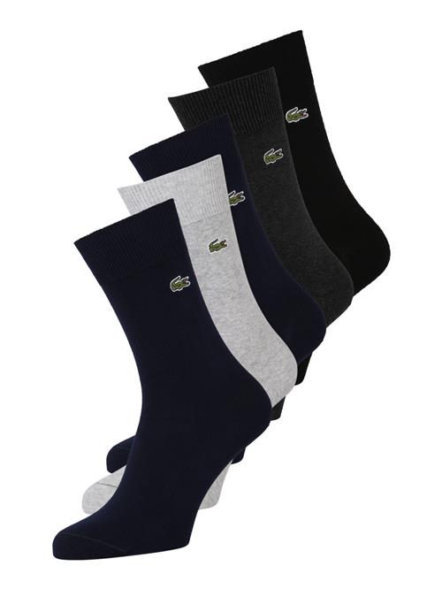 LACOSTE Sokker  antracit / lysegrå / sort