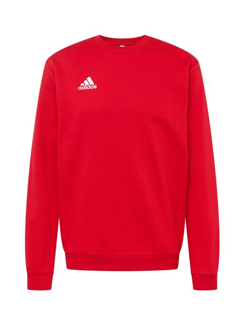 ADIDAS PERFORMANCE Sportsweatshirt 'Entrada 22'  rød / hvid