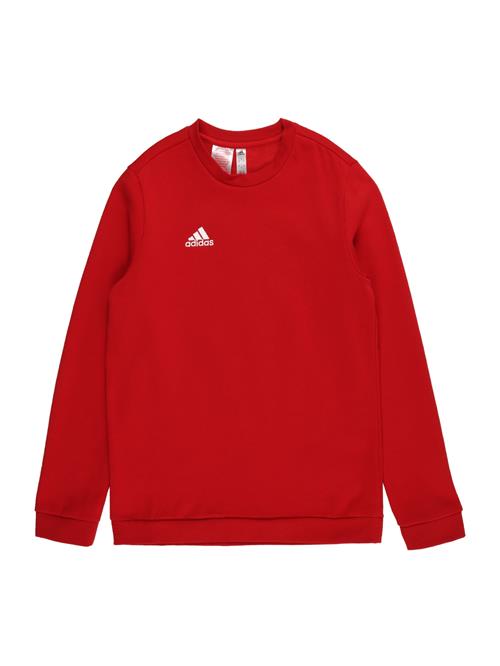 ADIDAS PERFORMANCE Sportsweatshirt 'Entrada 22'  brandrød / hvid