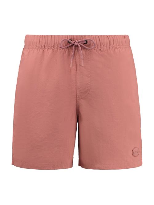 Shiwi Badeshorts  pitaya