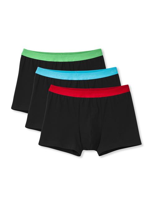 CALIDA Boksershorts  azur / lysegrøn / rød / sort