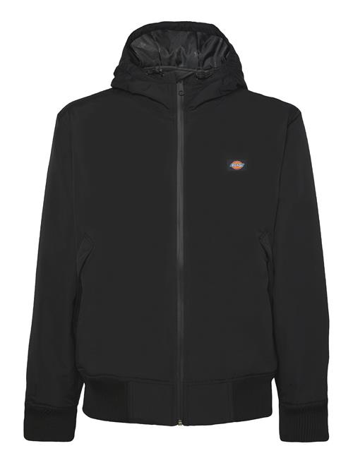 DICKIES Overgangsjakke 'New Sarpy'  sort