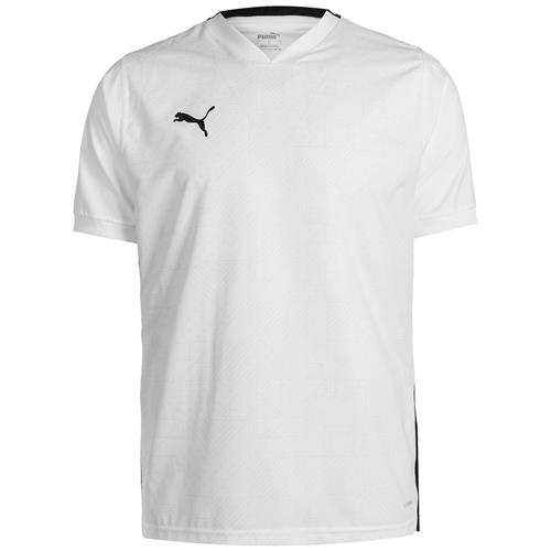 PUMA Funktionsskjorte 'Team Cup'  grå / sort / hvid