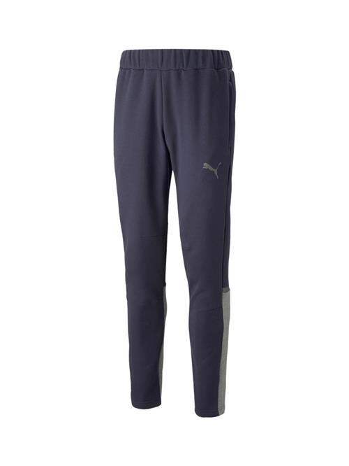 PUMA Sportsbukser 'Team Cup'  navy / mudderfarvet / grå-meleret