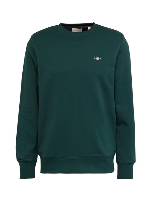 GANT Sweatshirt  sølvgrå / gran / rød