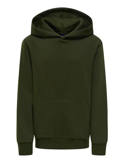 Osjceres Hoodie Swt Noos ONLY & SONS Khaki