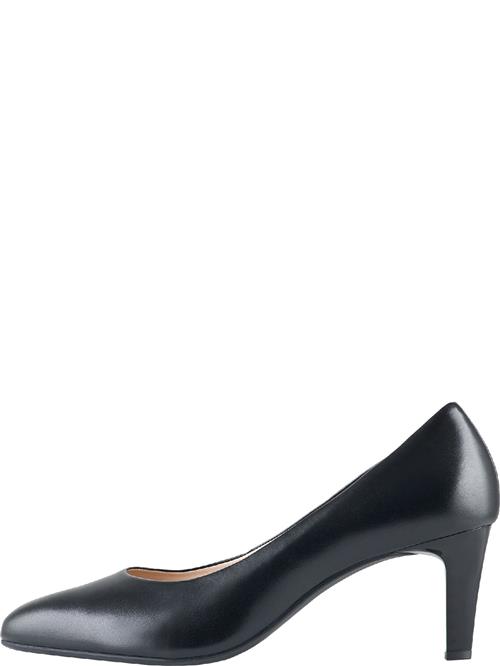 Högl Pumps 'Studio 60'  sort
