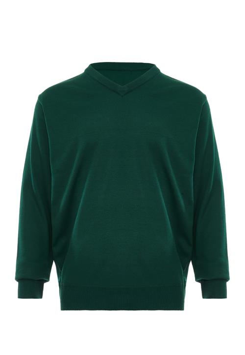 RAIDO Pullover  gran