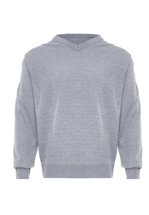 RAIDO Pullover  lysegrå