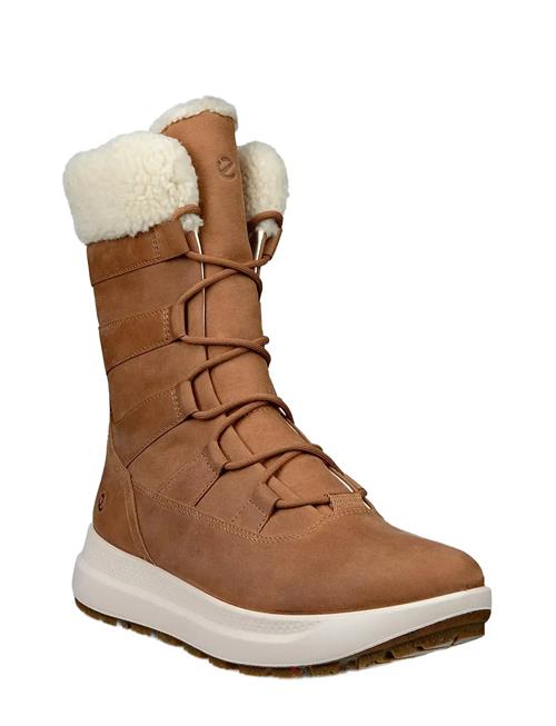 Solice ECCO Brown