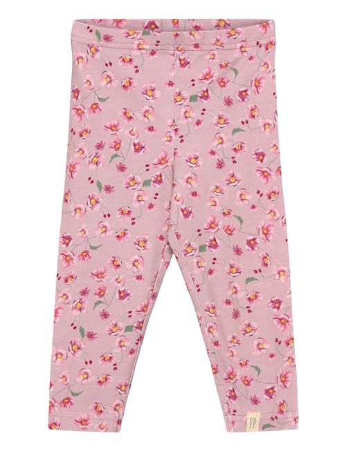 Legging Printed Petit Piao Pink