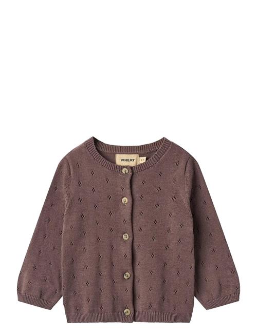 Knit Cardigan Maia Wheat Purple
