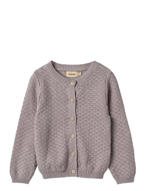 Knit Cardigan Magnella Wheat Pink