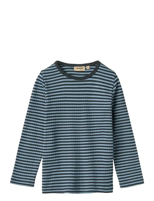 T-Shirt L/S Stig Wheat Blue