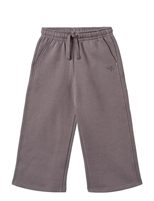 Sweatpants Straight Cruz Wheat Purple