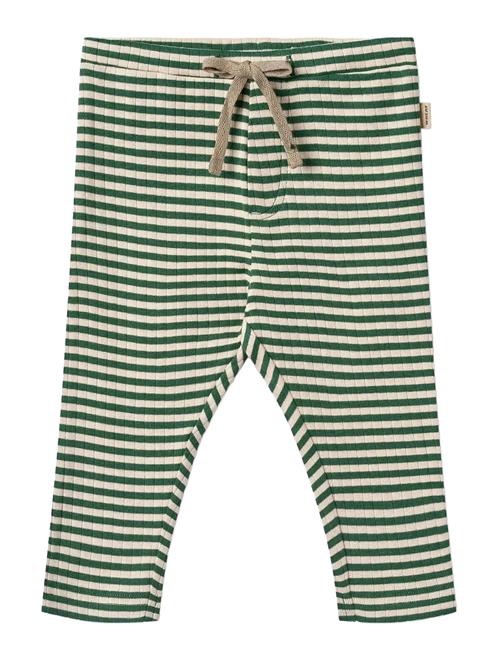 Jersey Pants Manfred Wheat Green