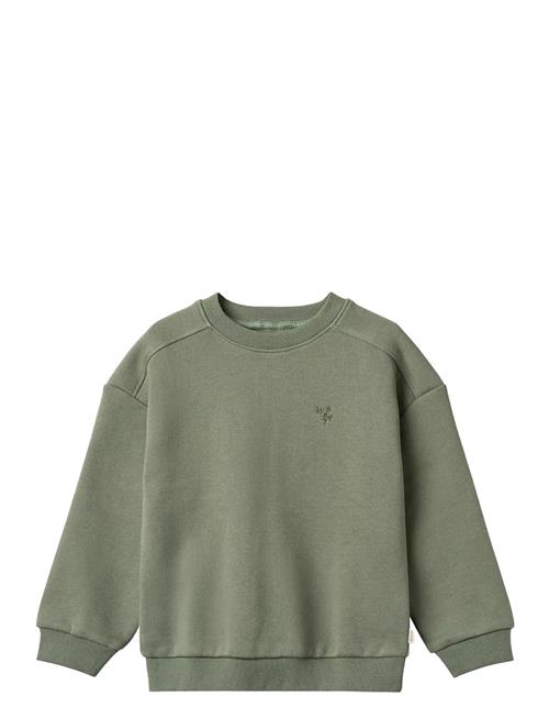 Sweatshirt L/S Willi Wheat Khaki