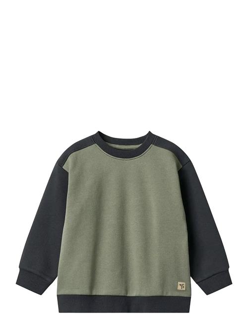 Sweatshirt L/S Block Ellis Wheat Navy