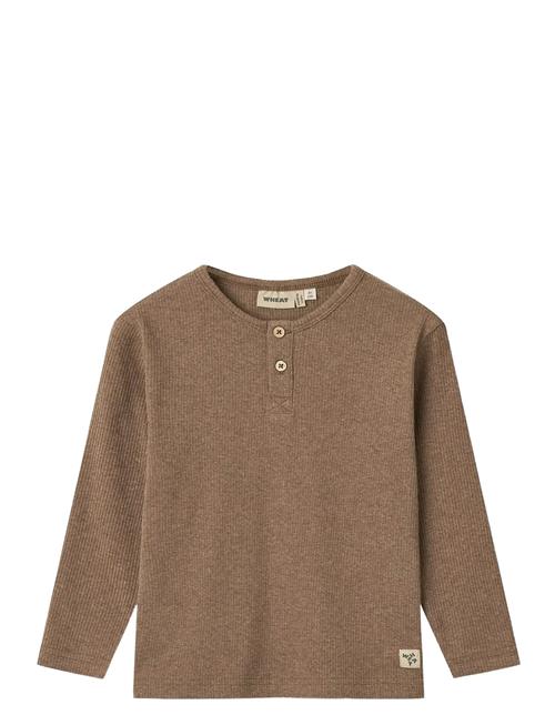 T-Shirt L/S Morris Wheat Brown