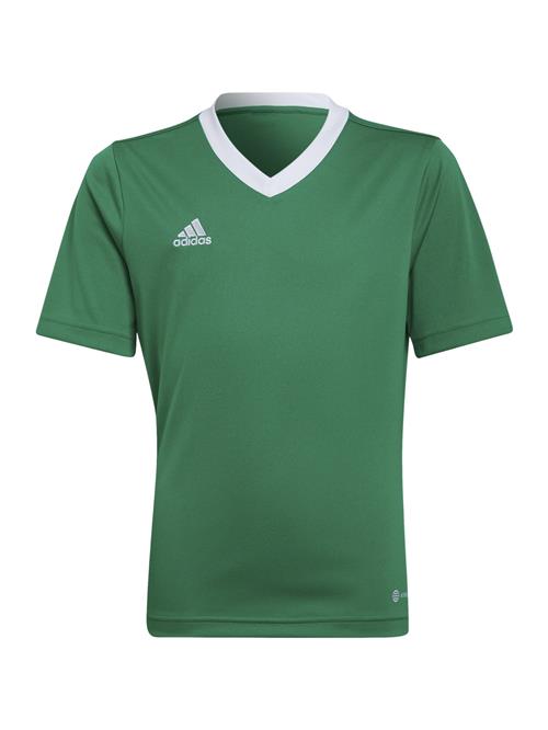 ADIDAS PERFORMANCE Funktionsskjorte 'Entrada 22'  græsgrøn / hvid