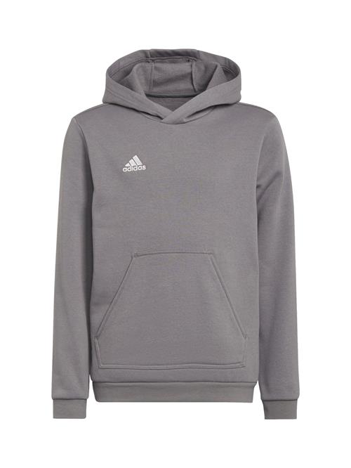 ADIDAS PERFORMANCE Sportsweatshirt 'Entrada 22'  grå-meleret / hvid