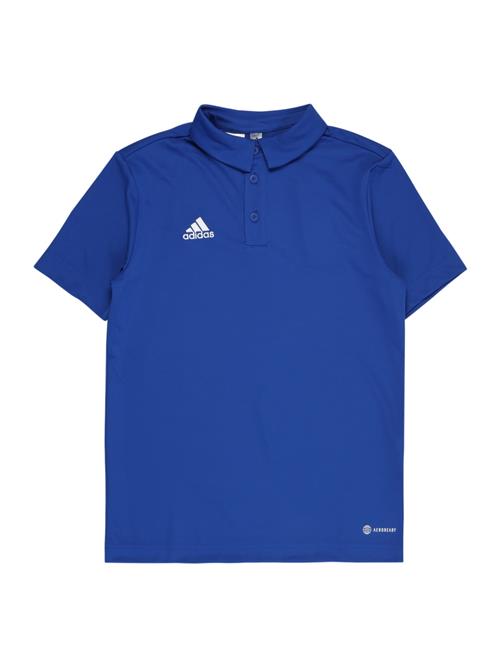 ADIDAS PERFORMANCE Funktionsskjorte 'Entrada 22'  royalblå / hvid