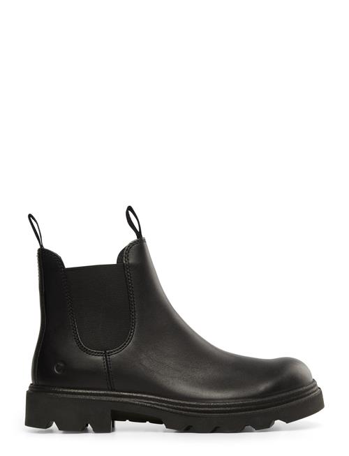 Grainer W ECCO Black