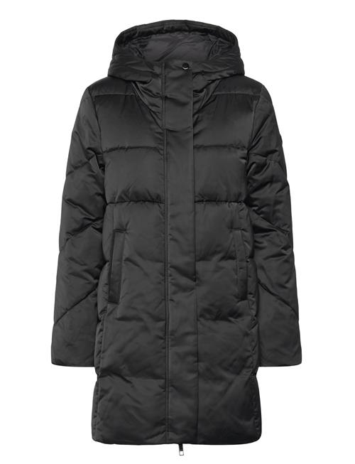 Petrano BOSS Black