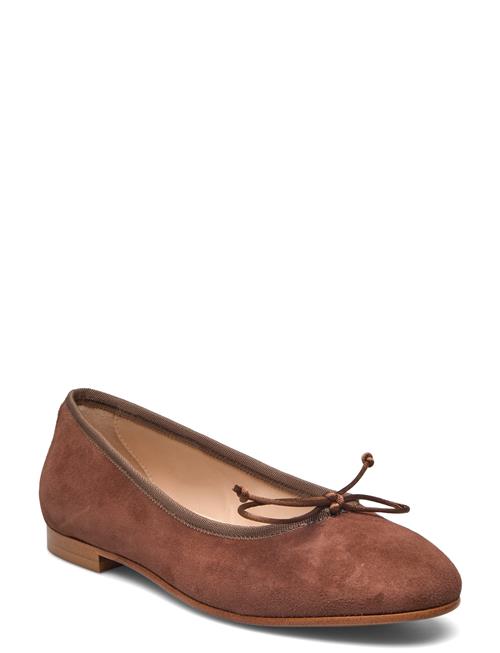 Ballerina Classic - Fur Apair Brown