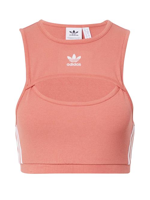 ADIDAS ORIGINALS Overdel 'Adicolor Classics'  laks / hvid