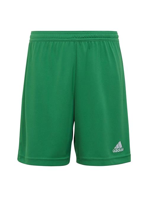 Se ADIDAS PERFORMANCE Sportsbukser 'Entrada 22'  græsgrøn ved About You