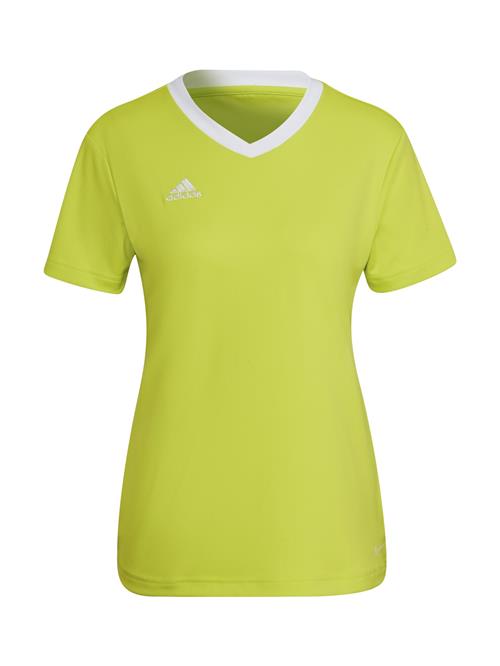 ADIDAS PERFORMANCE Fodboldtrøje 'Entrada 22'  lime / hvid
