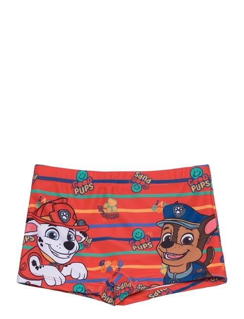 Swimsuit Paw Patrol Patterned