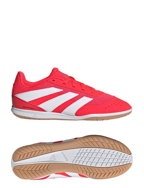 Predator Club In Sala J Adidas Performance Red
