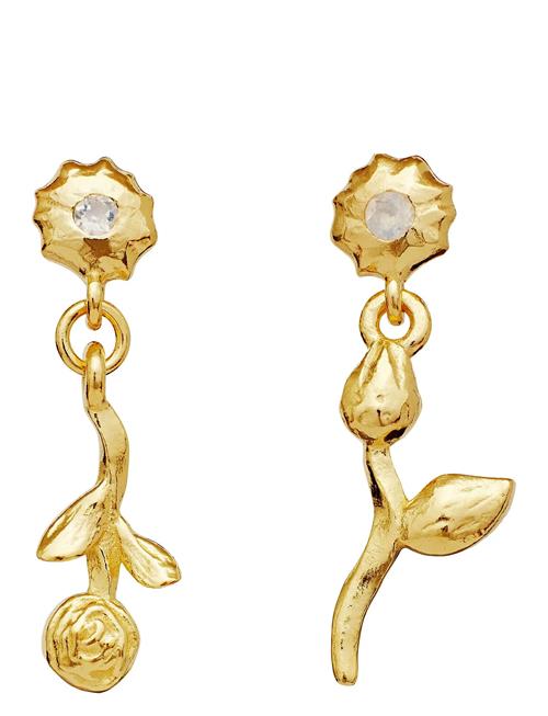 Amaria Earrings Maanesten Gold