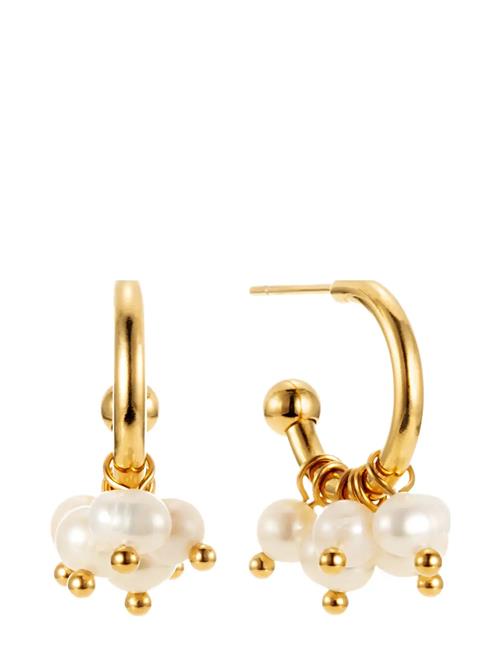 Palma Mini Hoop By Jolima Gold