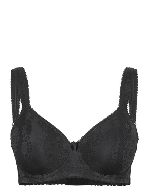 Adorable Shape Padded Wired Bra Swegmark Black