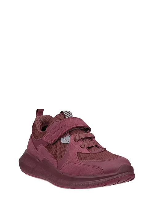 Biom 2.2 K ECCO Burgundy