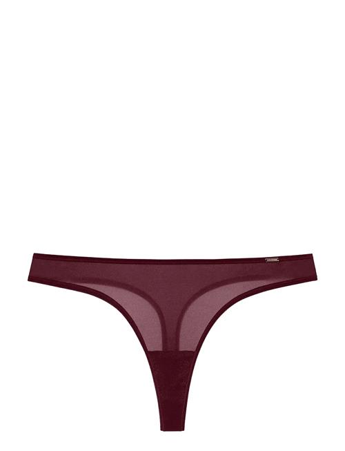Origins Thong Dorina Burgundy
