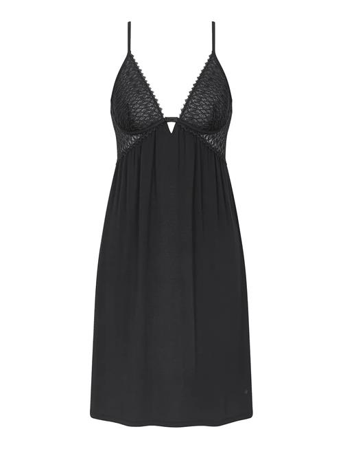 Aura Spotlight Ndk 04 X Triumph Black