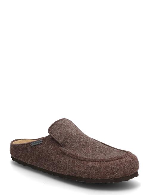 Pedro Tofflor Shepherd Brown